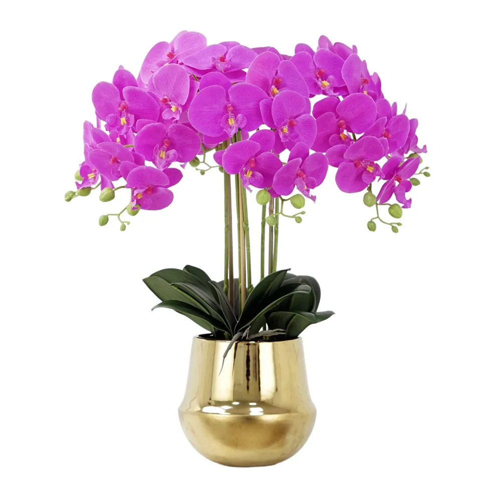 Direct Artificial Potted Phalaenopsis Faux Butterfly Orchid in Pot Home Office Table Decoration
Direct Artificial Potted Phalaenopsis Faux Butterfly Orchid in Pot Home Office Table Decoration