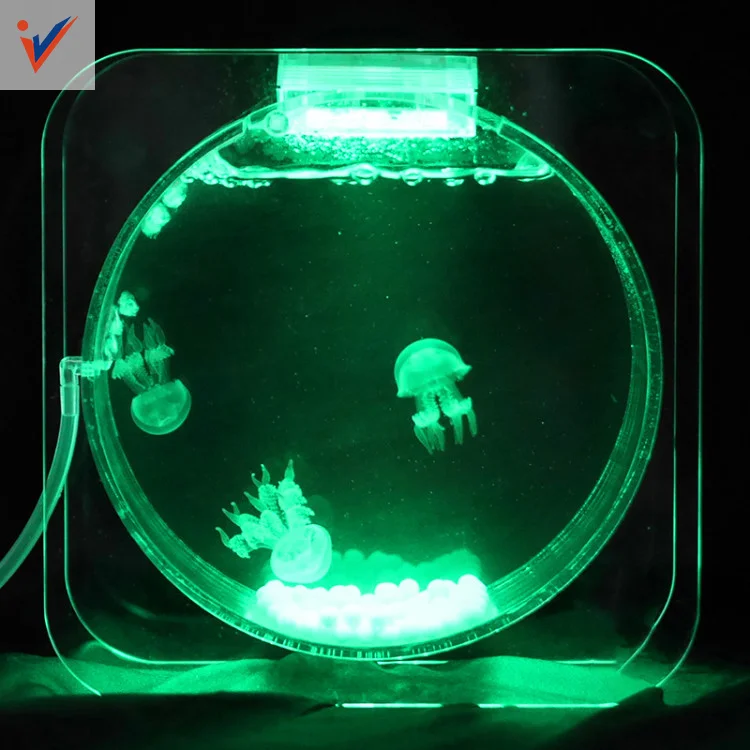 New Promoted Simple Acrylic Jellyfish Tank Novel Design Acrylic Jellyfish Aquarium
New Promoted Simple Acrylic Jellyfish Tank Novel Design Acrylic Jellyfish Aquarium
