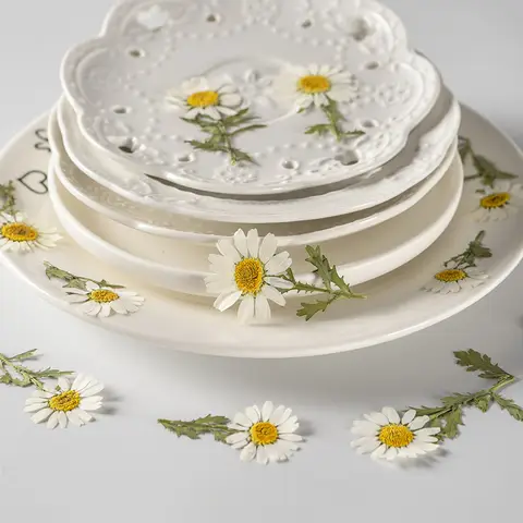 Conjunto de 12 peças de flores secas de 6-8cm, crisântemo, suprimentos para scrapbooking, fabricação de jóias, material de sabão, flores prensadas com folhas