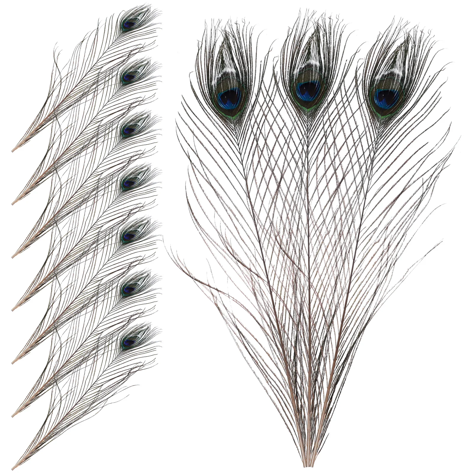 10pcs Peacock Decorative Plumes for Vase Floral Arrangements Craft Decoration DIY Party Supplies Wedding Baby Shower
10pcs Peacock Decorative Plumes for Vase Floral Arrangements Craft Decoration DIY Party Supplies Wedding Baby Shower