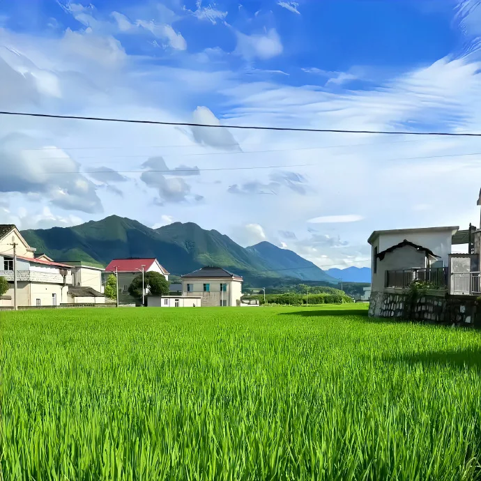 Ins style Case Matte Slim Case For Samsung Galaxy Z Flip3 Z Flip4 Z Flip5 Flip6 Flip7 Luxury Ultra Thin Cover Folding Screen
Ins style Case Matte Slim Case For Samsung Galaxy Z Flip3 Z Flip4 Z Flip5 Flip6 Flip7 Luxury Ultra Thin Cover Folding Screen