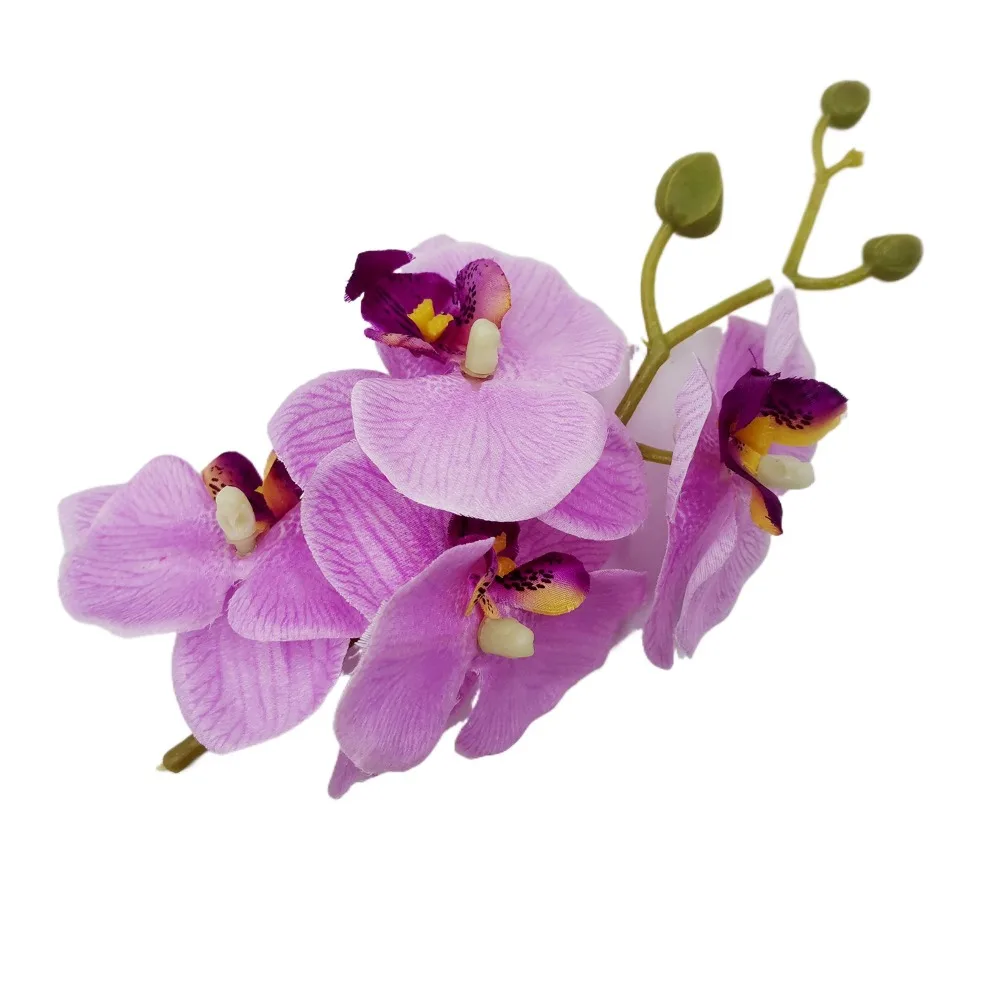 Butterfly Orchid Orchid Flower Hairpin Hair Accessories Headdress Seaside Vacation Headwear Side Clip Barrettes
Butterfly Orchid Orchid Flower Hairpin Hair Accessories Headdress Seaside Vacation Headwear Side Clip Barrettes