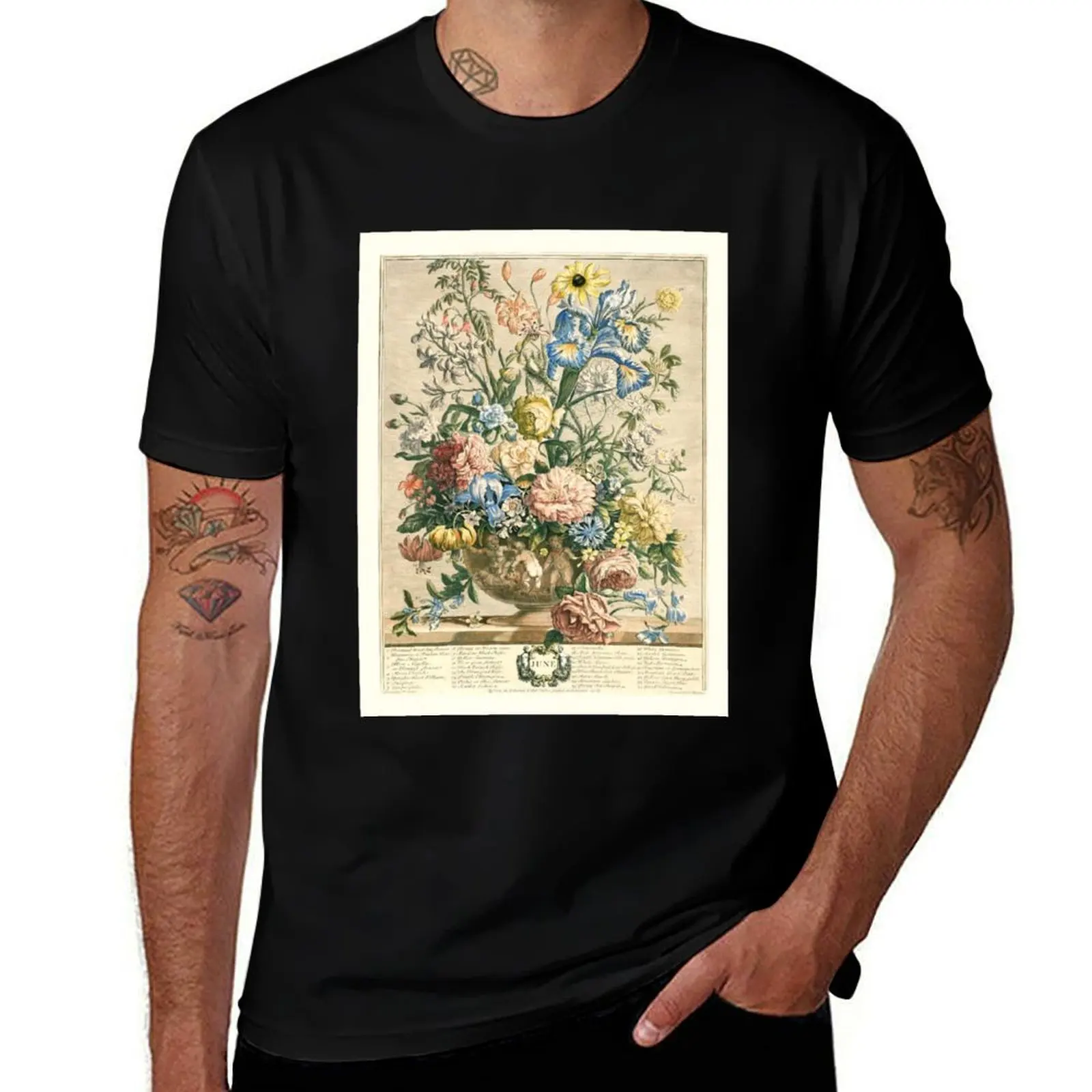 June, from The Twelve Months of Flowers, by Robert Furber (1732) High definition T-Shirt funny gifts men t shirts high quality
June, from The Twelve Months of Flowers, by Robert Furber (1732) High definition T-Shirt funny gifts men t shirts high quality