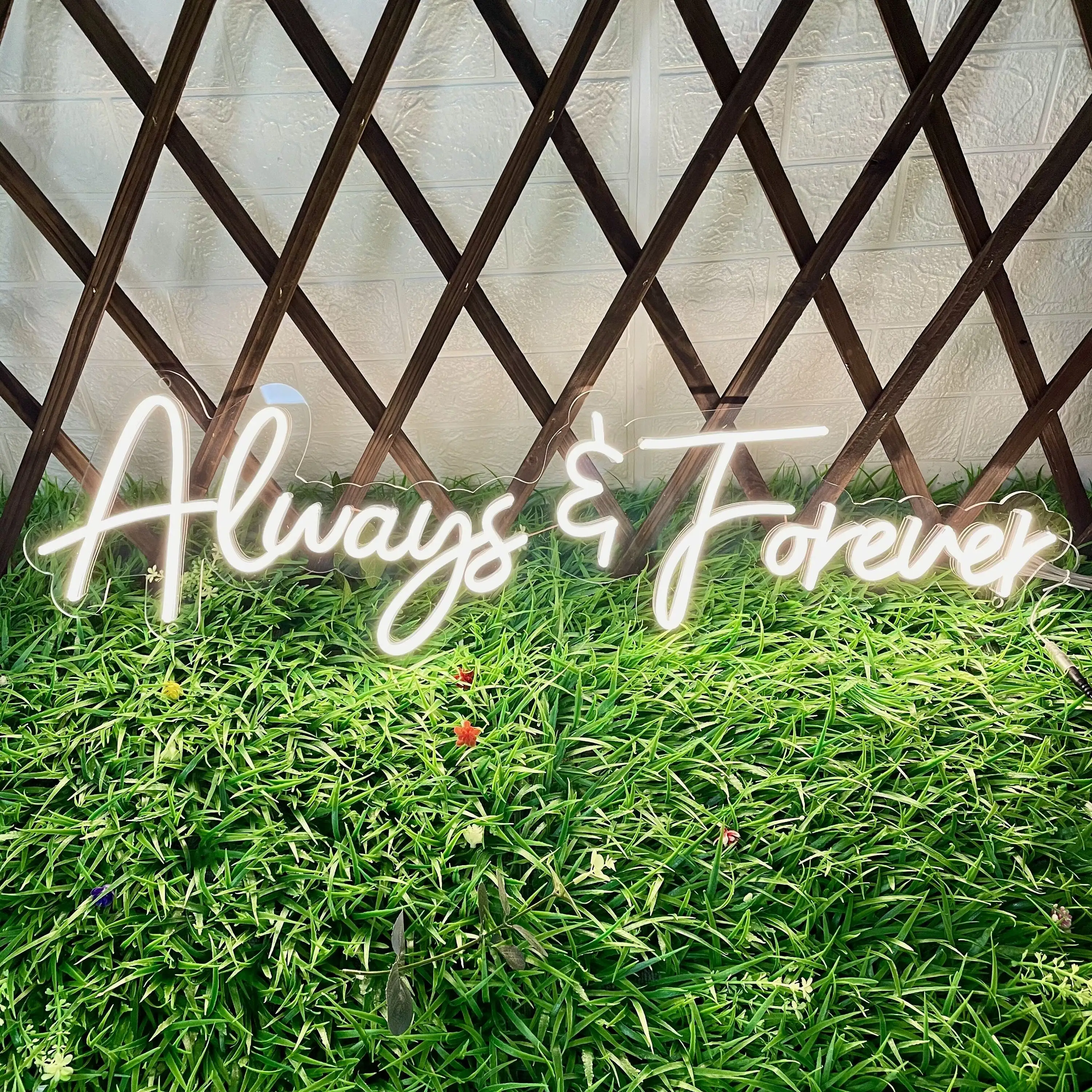 Always Forever Neon Sign Light Wedding Proposal Personalized Gift Led Party Bedroom Home Club Wall Decoration
Always Forever Neon Sign Light Wedding Proposal Personalized Gift Led Party Bedroom Home Club Wall Decoration