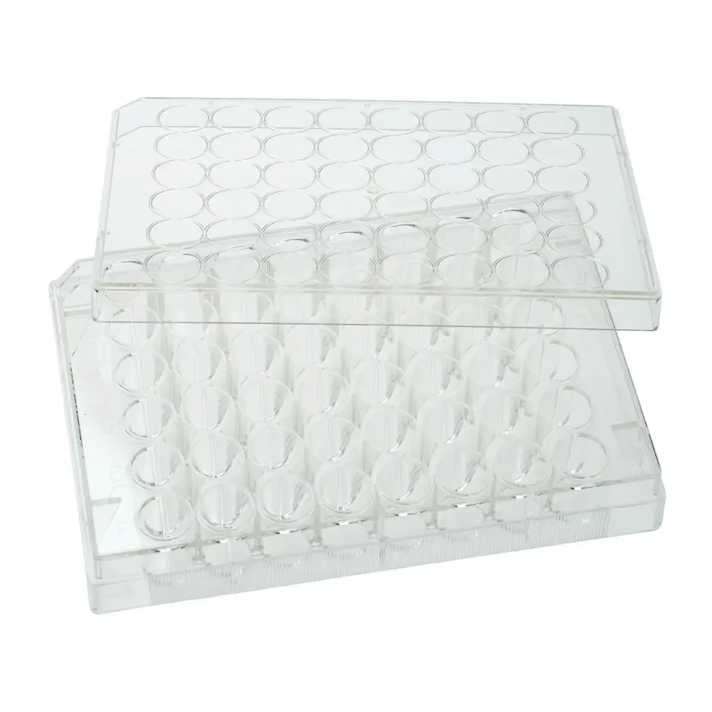 48 Clear Polystyrene Well Tissue Culture Plate with Lid, Sterile, 0.84 cm2 Cell Growth Area, Flat Bottom, Individual Pack
48 Clear Polystyrene Well Tissue Culture Plate with Lid, Sterile, 0.84 cm2 Cell Growth Area, Flat Bottom, Individual Pack