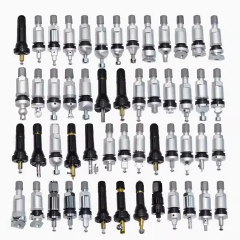 4 pcs/lot TPMS Tire Valve for GWM HAVAL Tubeless Valve for Tyre Pressure Monitoring System Sensor Repair kit