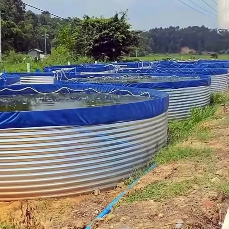 Fish Farm Tilapia Pond Fish Breeding Pool Tank Above Ground Tarpaulin Farming Cage Basin for Fish Farming
Fish Farm Tilapia Pond Fish Breeding Pool Tank Above Ground Tarpaulin Farming Cage Basin for Fish Farming