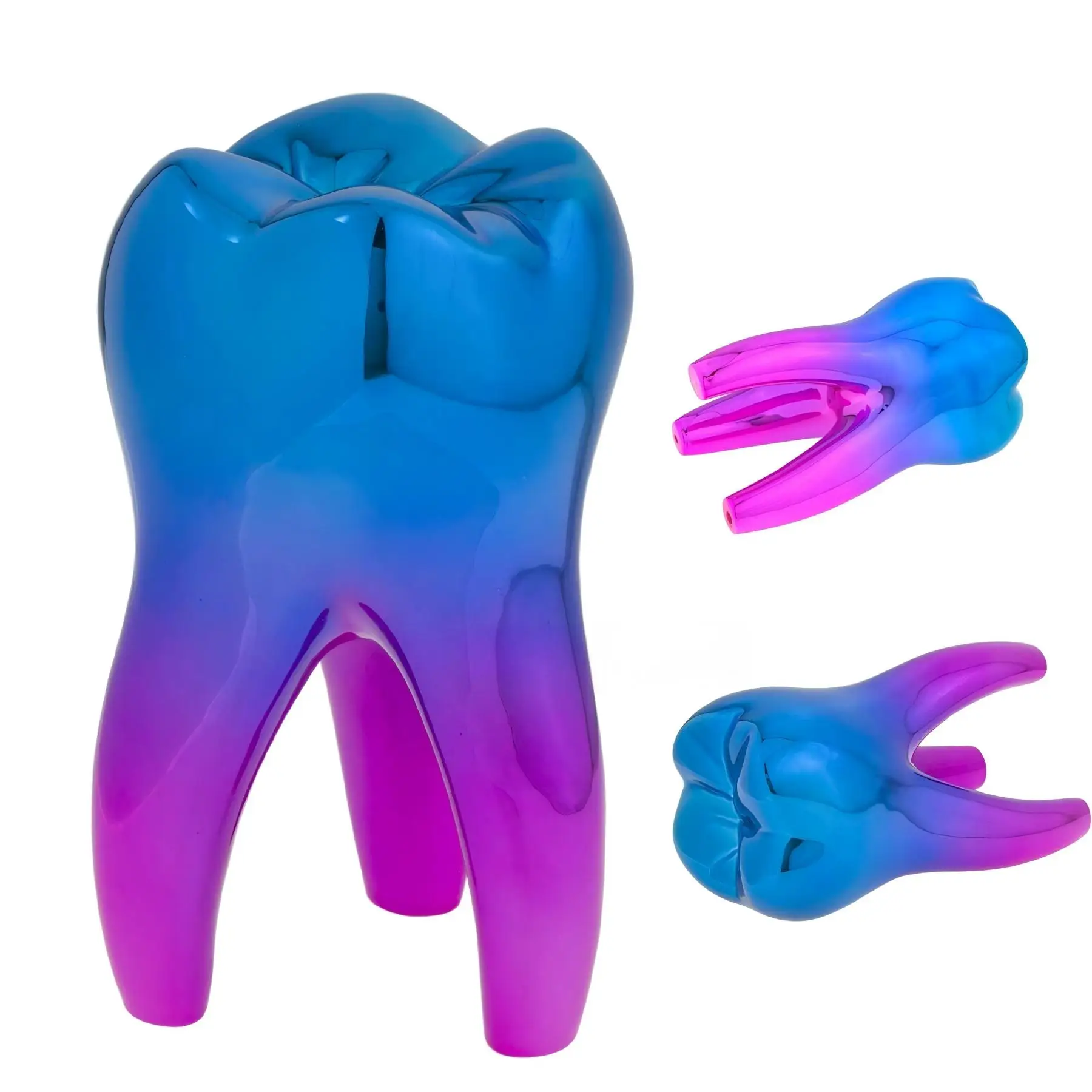 Dental Ornament Teaching Study Research Small Tooth Model Crafts Sculpture Blue-Rose Red
Dental Ornament Teaching Study Research Small Tooth Model Crafts Sculpture Blue-Rose Red