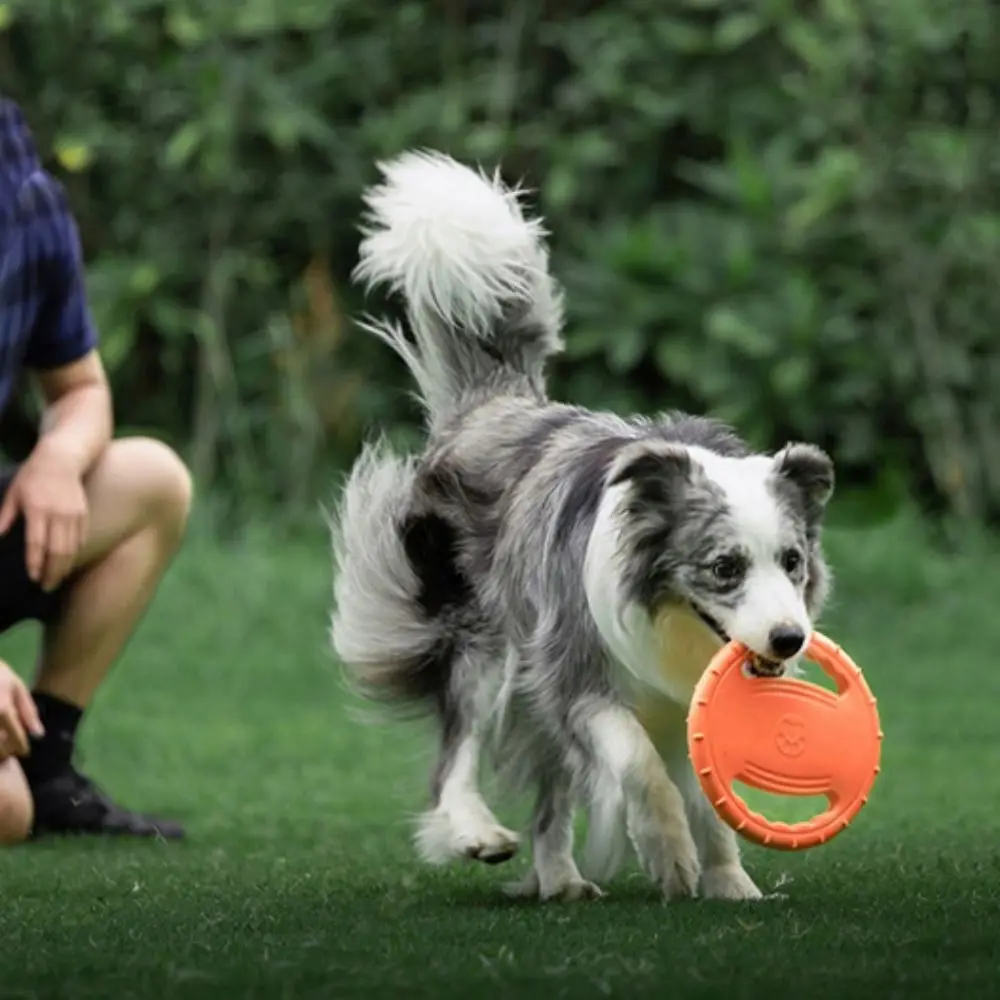 Bite Resistant Pet Flying Disc Toy Steering Wheel Shape EVA Dog Toys Flying Discs 20cm Interactive Dog Floating Toy
Bite Resistant Pet Flying Disc Toy Steering Wheel Shape EVA Dog Toys Flying Discs 20cm Interactive Dog Floating Toy