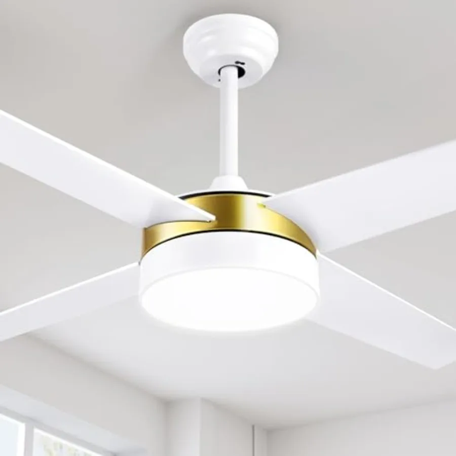 Ceiling Fans with Light and Remote, Dimmable Fan for door, Modern Wood LED Fan with Quiet Reversible Motor, Memory Function, fo
Ceiling Fans with Light and Remote, Dimmable Fan for door, Modern Wood LED Fan with Quiet Reversible Motor, Memory Function, fo