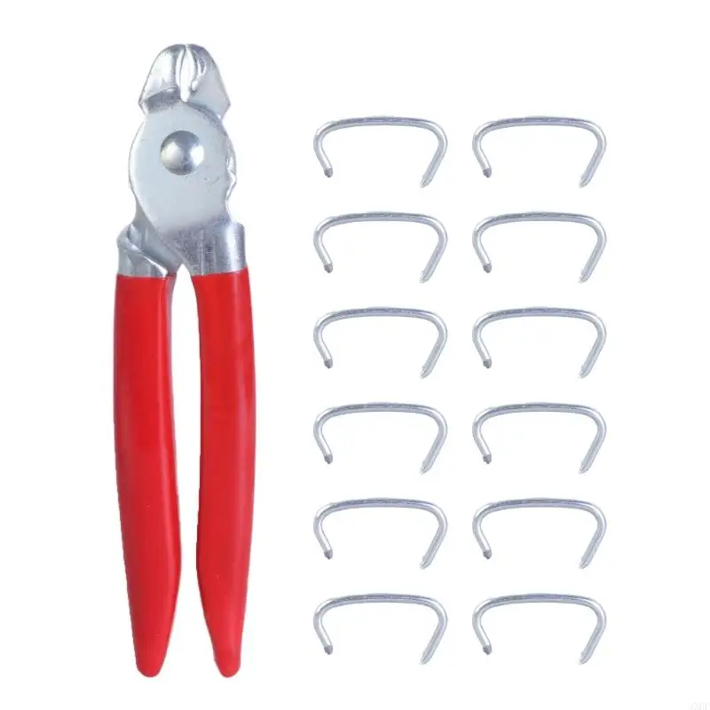 3XUF 300pcs Гальванизированные зажимные кольца с плоскогубцами ремонтные плоскогубцы Практические портативные клетки щипцы
3XUF 300pcs Гальванизированные зажимные кольца с плоскогубцами ремонтные плоскогубцы Практические портативные клетки щипцы