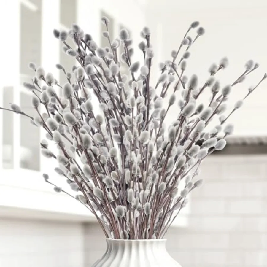 35 Pcs Real Dried PussyWillow Preserved Greenery Branches for Vase- Natural PussyWillow with White Flowers, Snow Willow Branche
35 Pcs Real Dried PussyWillow Preserved Greenery Branches for Vase- Natural PussyWillow with White Flowers, Snow Willow Branche