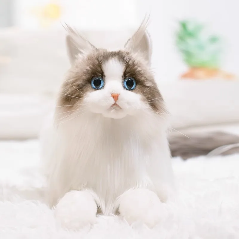 Ragdoll cat simulation plush cat doll toy girl Internet celebrity popular cat backpack children New Year's gift male
Ragdoll cat simulation plush cat doll toy girl Internet celebrity popular cat backpack children New Year's gift male