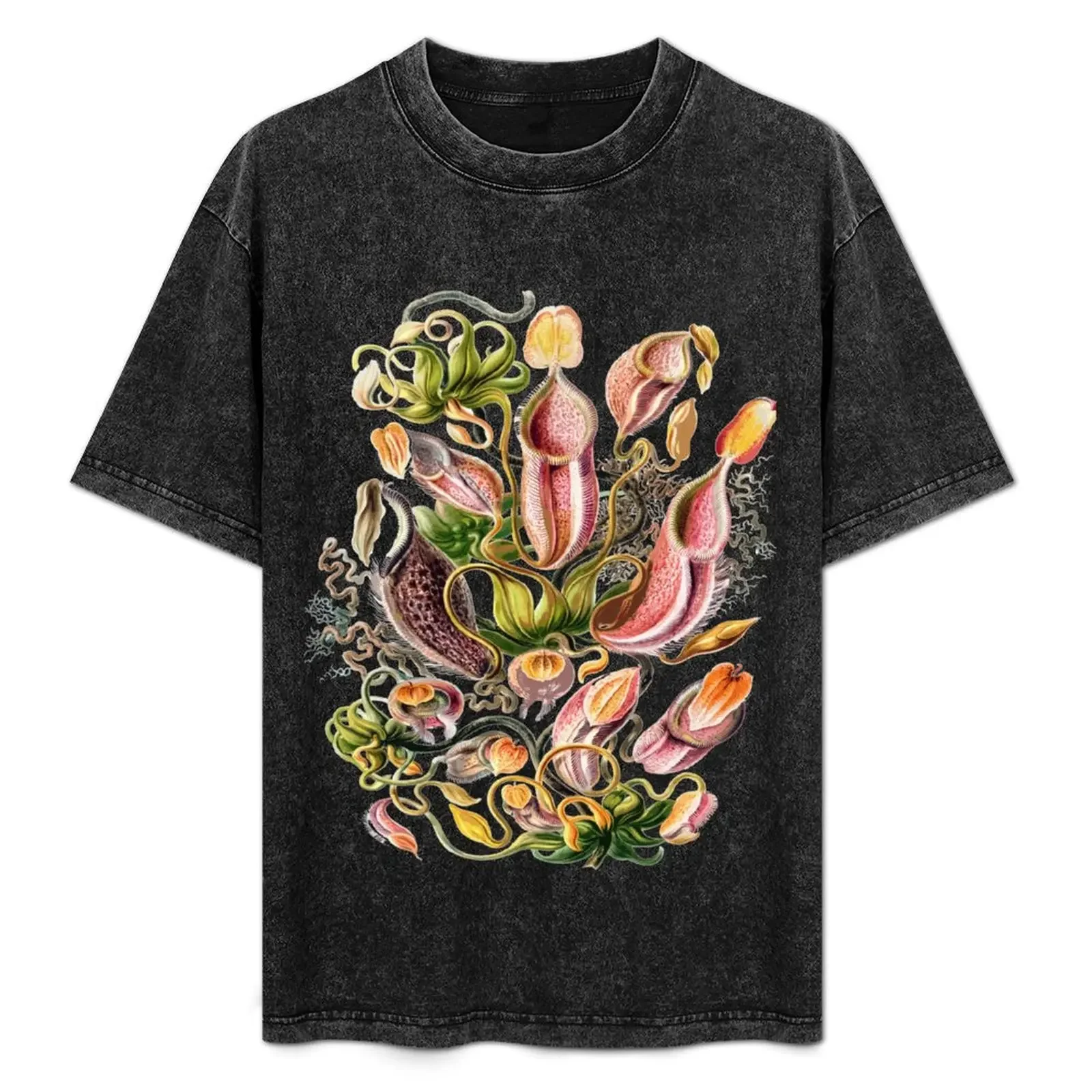 Carnivorous Plant Horticulture, Venus Flytrap Houseplant T-Shirt for a boy luxury t-shirt men clothings
Carnivorous Plant Horticulture, Venus Flytrap Houseplant T-Shirt for a boy luxury t-shirt men clothings