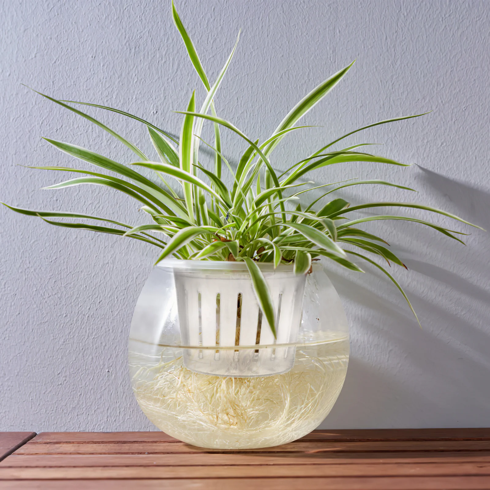 Hydroponics Plant Water Storage Glass Bottle Transparent Self Watering Planter Basket Large Reservoir Rope for Root Oxygen
Hydroponics Plant Water Storage Glass Bottle Transparent Self Watering Planter Basket Large Reservoir Rope for Root Oxygen