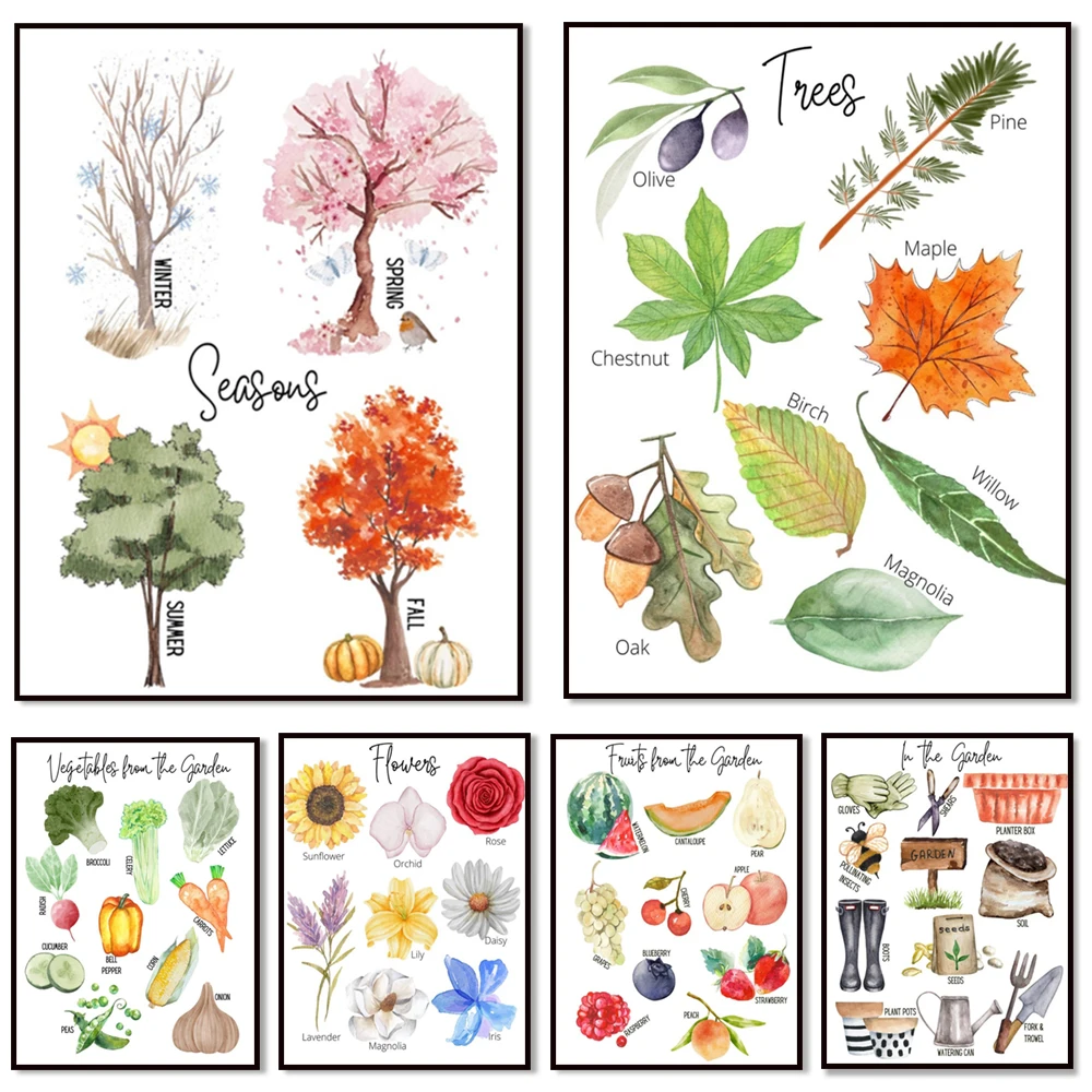 Flower print, vegetables, tree types, seasonal print, fruit, egg color print, farm food, garden print, educational poster
Flower print, vegetables, tree types, seasonal print, fruit, egg color print, farm food, garden print, educational poster