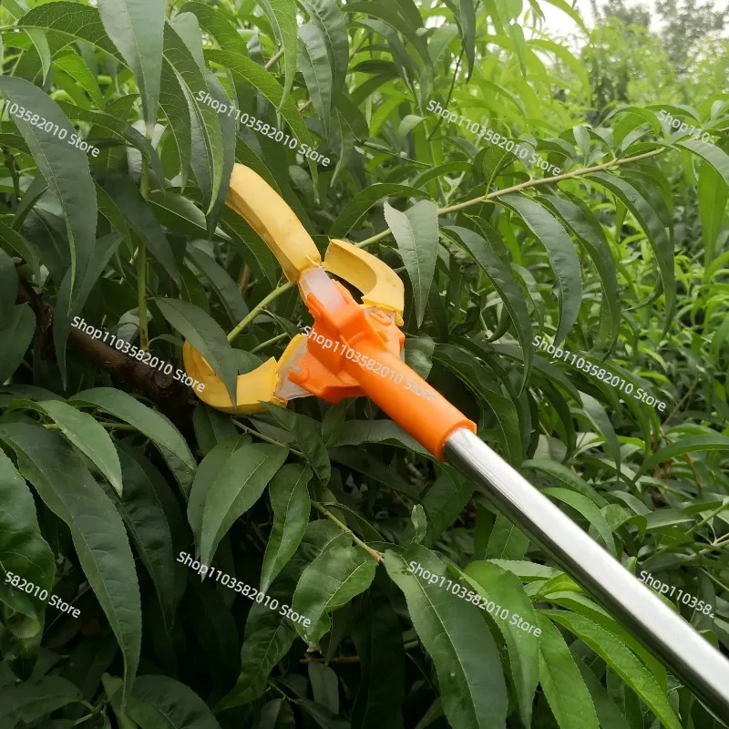 1.2M Telescopic Fruit Picker, 3-Claw High Reach Branch Pruner for Apple, Peach, Pear Harvesting
1.2M Telescopic Fruit Picker, 3-Claw High Reach Branch Pruner for Apple, Peach, Pear Harvesting