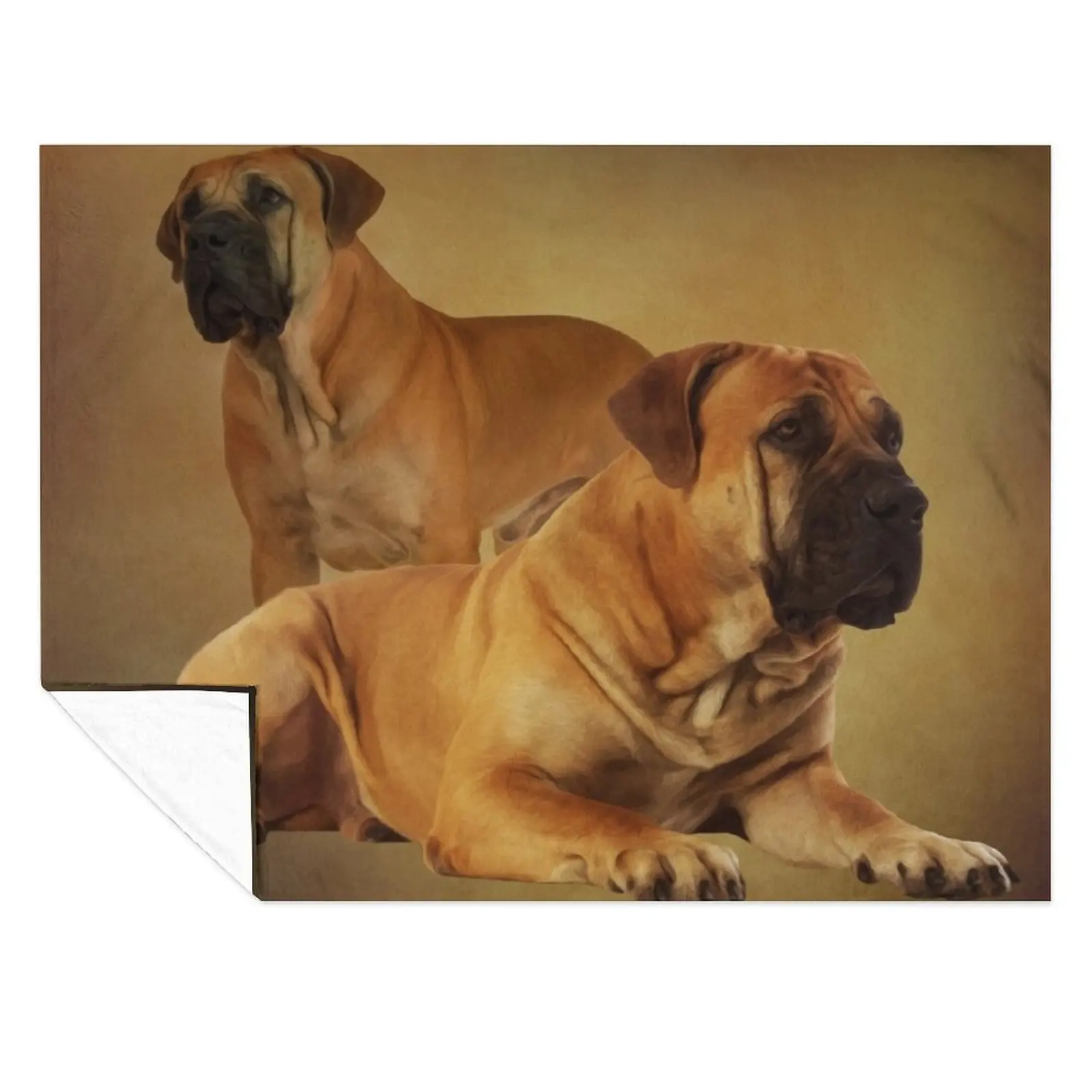 Boerboel - South African Mastiff Throw Blanket For Decorative Sofa cosplay anime Stuffeds funny gift Blankets
Boerboel - South African Mastiff Throw Blanket For Decorative Sofa cosplay anime Stuffeds funny gift Blankets
