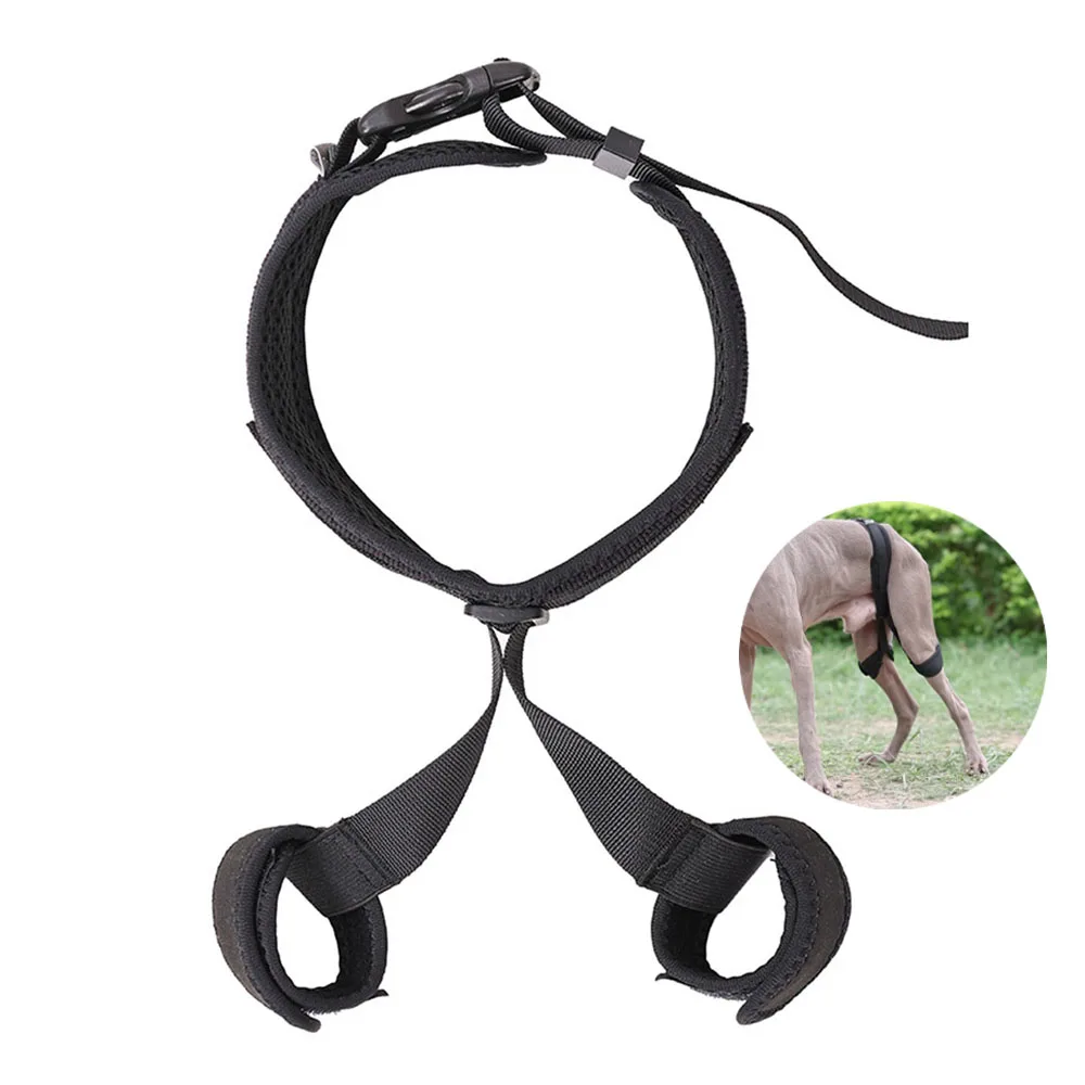 Pet Injury Rehabilitation Belt Protective Gear Dog Hip Auxiliary Correction Belt Dog Joint Post-Op Protection Set
Pet Injury Rehabilitation Belt Protective Gear Dog Hip Auxiliary Correction Belt Dog Joint Post-Op Protection Set