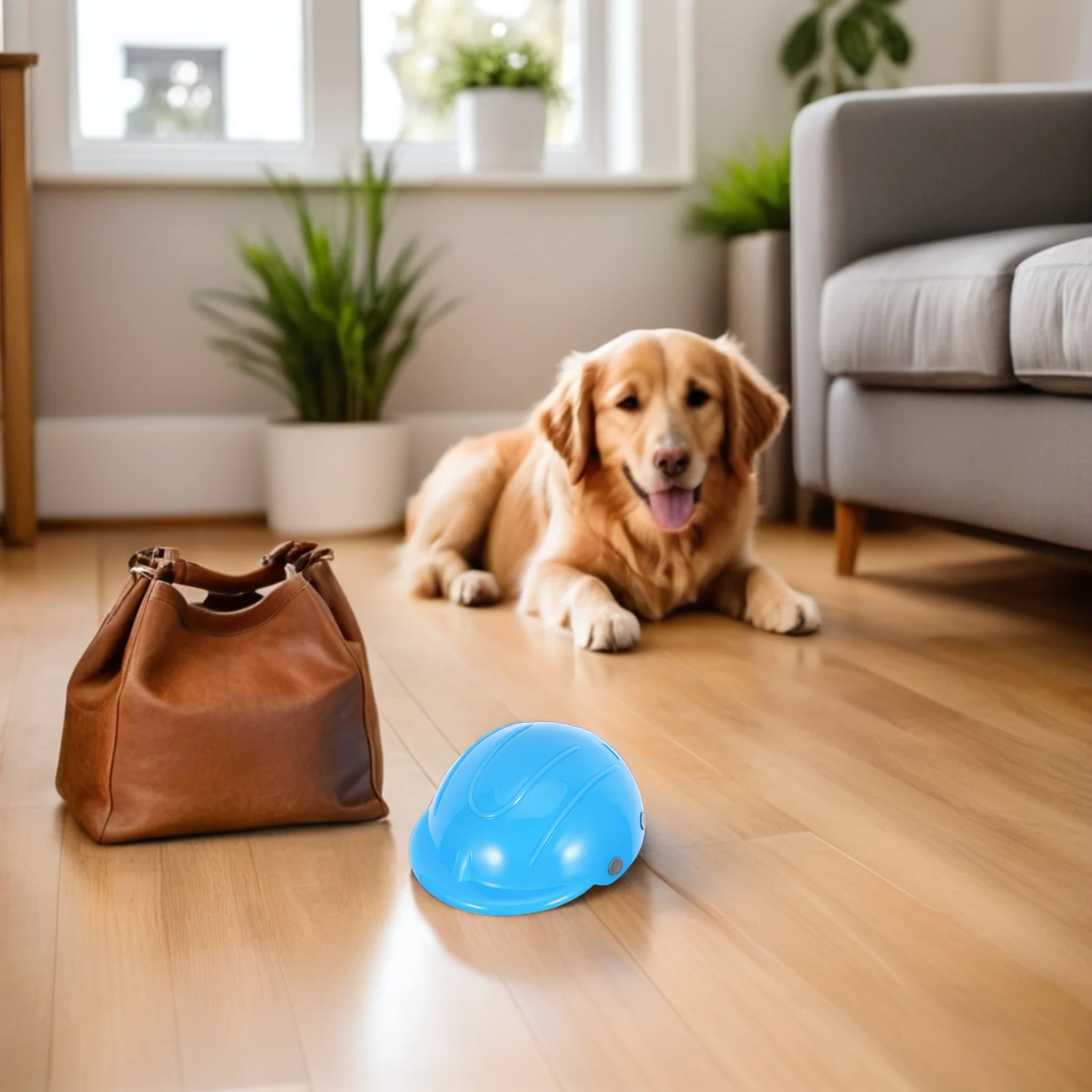 Pet Motorcycle For Small Dogs Adjustable Blue Dog Safety Lightweight Crash-Resistant Design For Chihuahua
Pet Motorcycle For Small Dogs Adjustable Blue Dog Safety Lightweight Crash-Resistant Design For Chihuahua