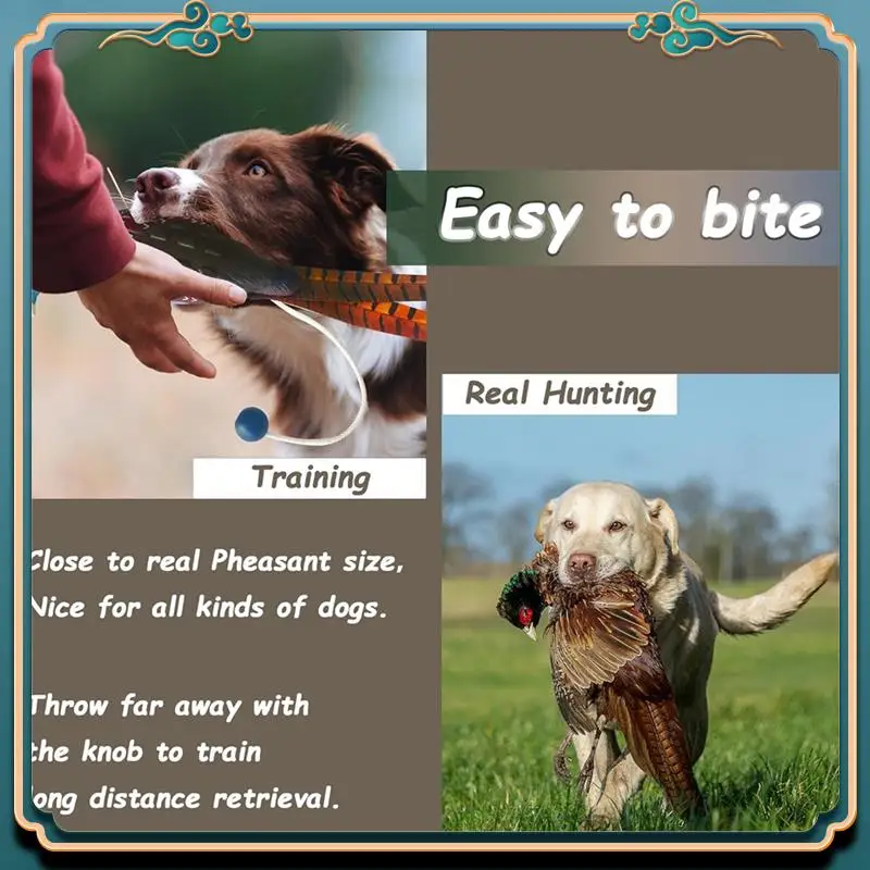 Latest 2 Pcs Pheasant Dummy Bumper Toy For Hunting Retriever Dog Training, Hunting Duck Recognition Trainers
Latest 2 Pcs Pheasant Dummy Bumper Toy For Hunting Retriever Dog Training, Hunting Duck Recognition Trainers