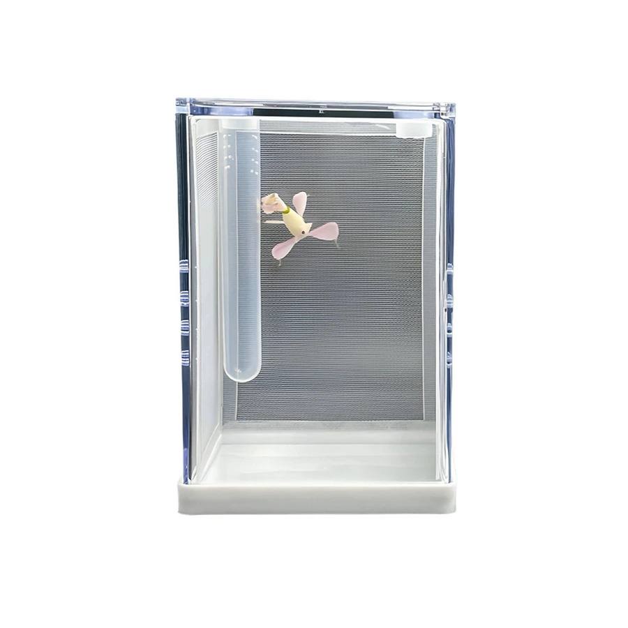 Mantis Transparent Acrylic Feeding Box Mantis Feeding Box Insect Feeding Box Mantis Landscaping Villa Insect Box
Mantis Transparent Acrylic Feeding Box Mantis Feeding Box Insect Feeding Box Mantis Landscaping Villa Insect Box