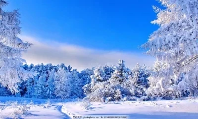 Эксклюзивно для радиоуправляемых автомобилей MJX 1/12 H12Y/H12Y+, 41 г, металлические детали для украшения кузова автомобиля, изготовленные из алюминия 6061, для модернизации и модификации
Эксклюзивно для радиоуправляемых автомобилей MJX 1/12 H12Y/H12Y+, 41 г, металлические детали для украшения кузова автомобиля, изготовленные из алюминия 6061, для модернизации и модификации