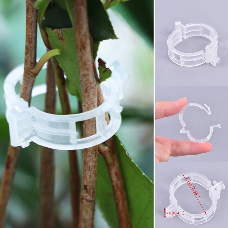 50/100pcs Reusable Plastic Plant Support Clips Clamps For Garden Hanging Vine Vegetables
50/100pcs Reusable Plastic Plant Support Clips Clamps For Garden Hanging Vine Vegetables