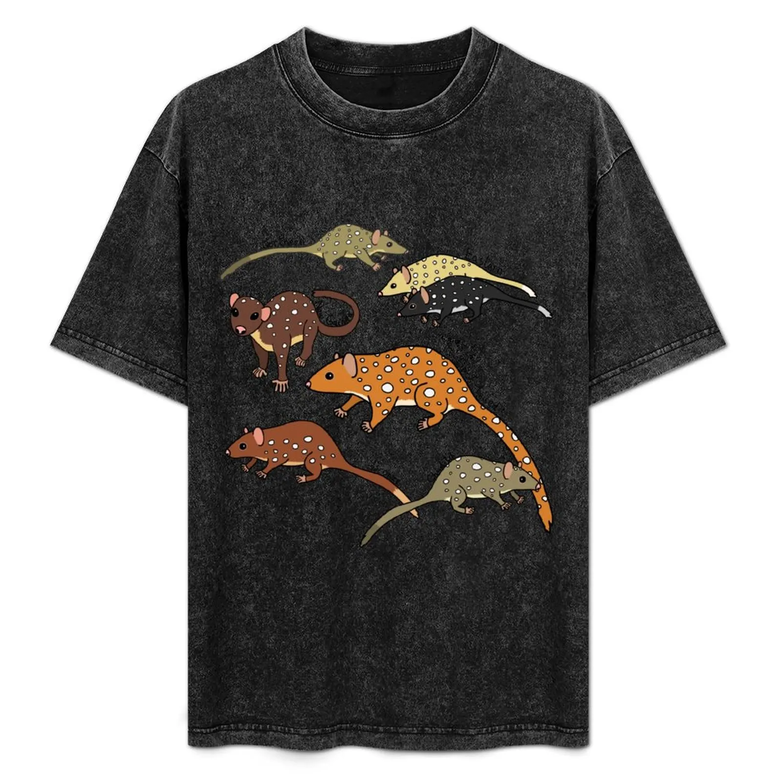 All the Quoll Things T-Shirt Breathable Lightweight Summer Top
All the Quoll Things T-Shirt Breathable Lightweight Summer Top