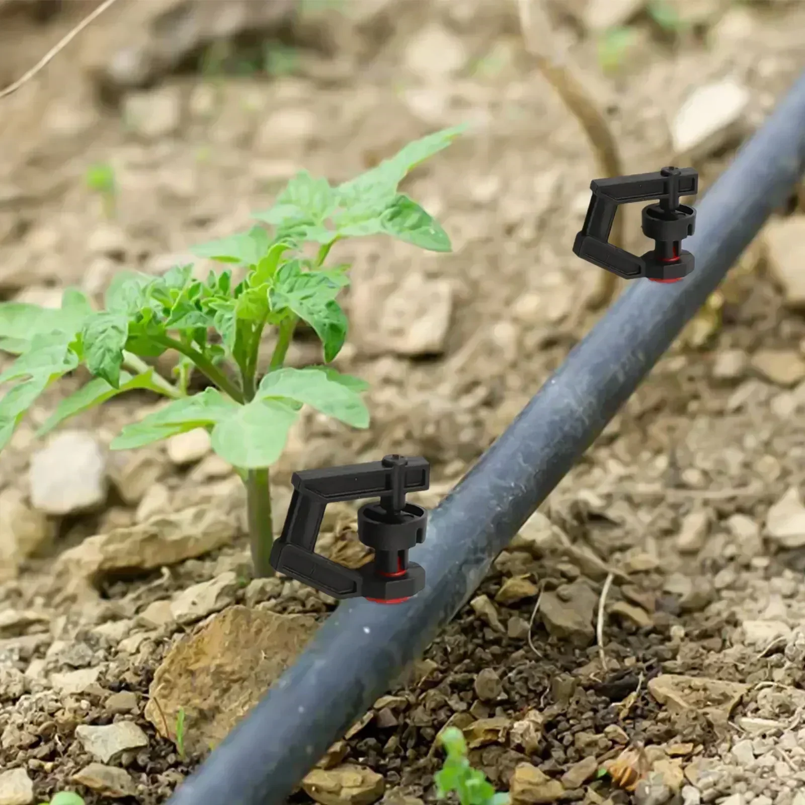 Easy Installation 360 Degree Irrigation Garden Maintenance G-type Nozzle Design Outdoor Irrigation For Fruit Trees
Easy Installation 360 Degree Irrigation Garden Maintenance G-type Nozzle Design Outdoor Irrigation For Fruit Trees