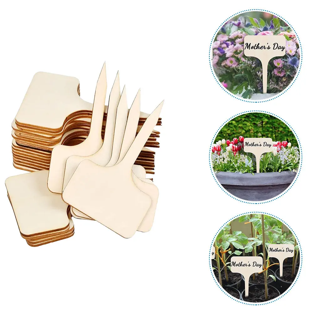 20 Pcs Wooden Plant Labels Durable Safe Markers Plant Classification Signs Landscaping Professional
20 Pcs Wooden Plant Labels Durable Safe Markers Plant Classification Signs Landscaping Professional