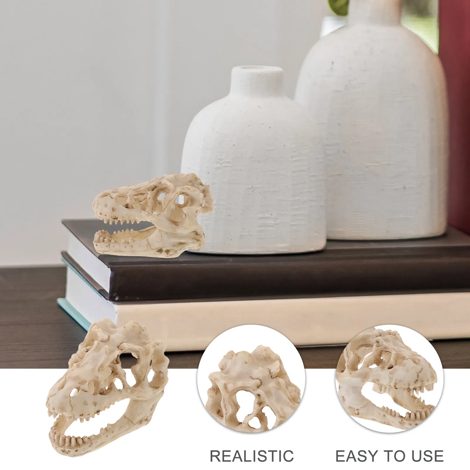 Resin Dinosaur Skull Lifelike Skull Display Decorative Ornament for Desk Bookshelf Terrarium Reptile Home Decorations
Resin Dinosaur Skull Lifelike Skull Display Decorative Ornament for Desk Bookshelf Terrarium Reptile Home Decorations