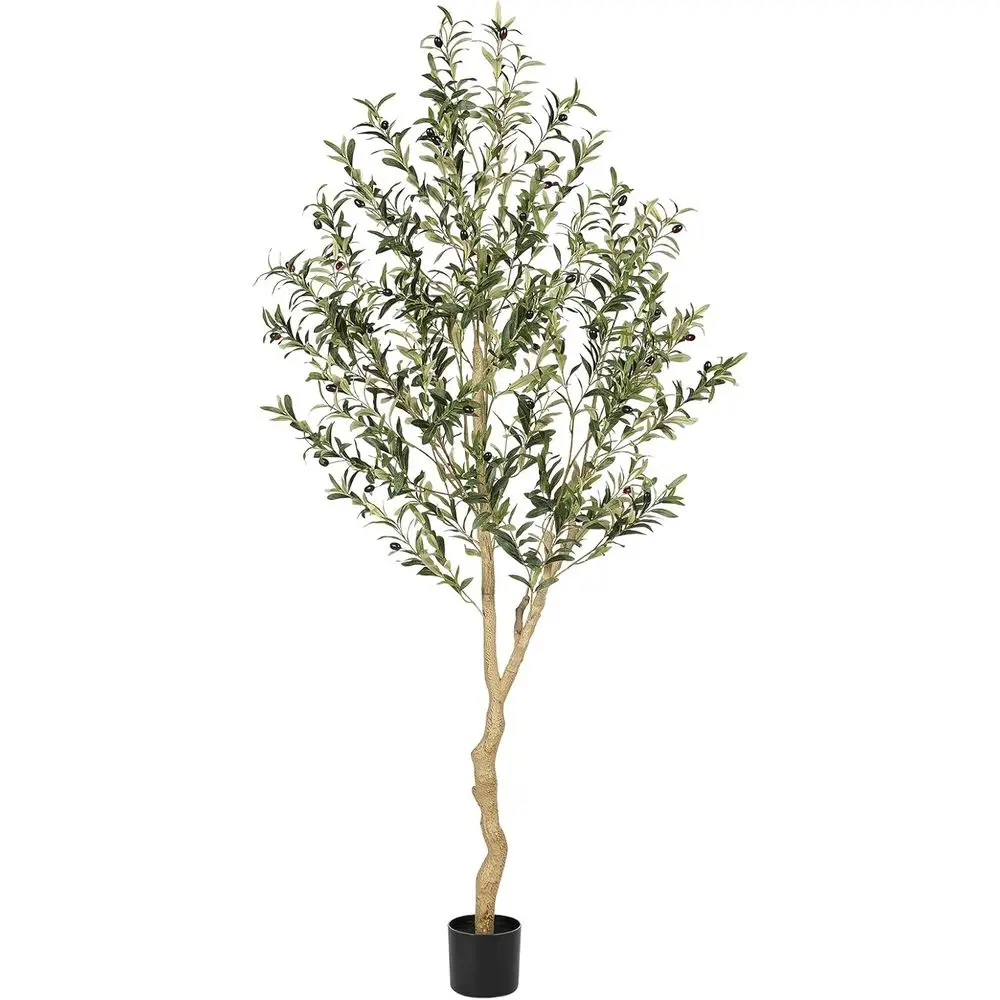6ft Tall Artificial Olive Trees for Home Living Room Floor Decor Indoor
6ft Tall Artificial Olive Trees for Home Living Room Floor Decor Indoor