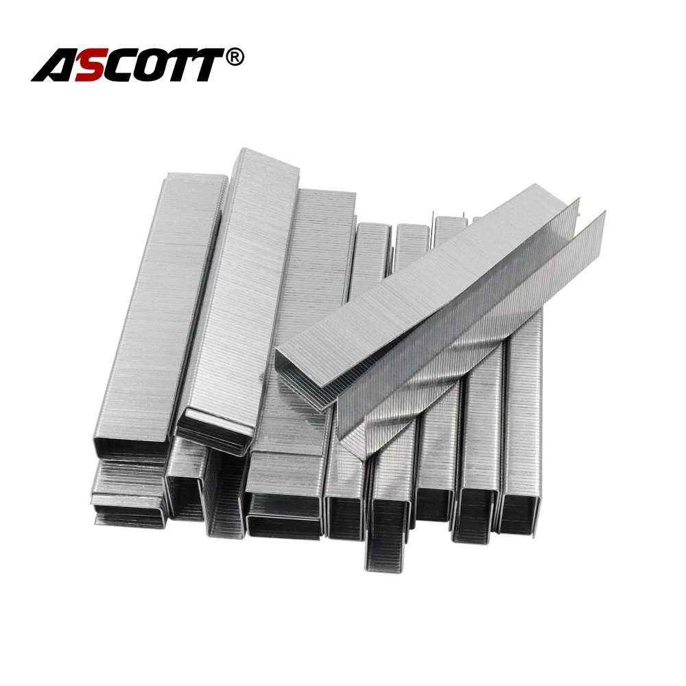 5000Pcs 20GA Staples 11.2mm Crown Nails 10/13/22mm U-shape Nail Gun Nails Furniture Staples Upholstery Carpentry Tacks
5000Pcs 20GA Staples 11.2mm Crown Nails 10/13/22mm U-shape Nail Gun Nails Furniture Staples Upholstery Carpentry Tacks