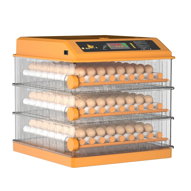 Professional Manufacture Newest Model Automatic Mini Egg Incubator Machine
Professional Manufacture Newest Model Automatic Mini Egg Incubator Machine