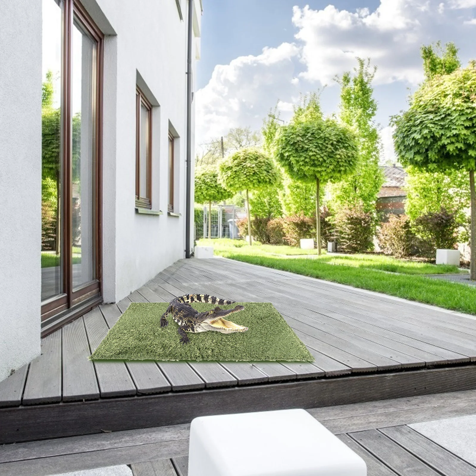 2Pcs Reptile Carpet Simulation Moss Terrarium Substrate Liner Tortoise Turtle Habitat Carpet Comfortable Durable Mat
2Pcs Reptile Carpet Simulation Moss Terrarium Substrate Liner Tortoise Turtle Habitat Carpet Comfortable Durable Mat