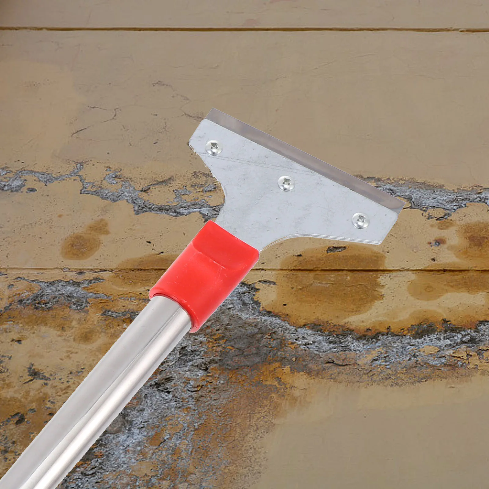 2 Pcs Cleaning Blade Magnetic Scraper Heavy Duty Tools Tile Floor Glass Granite Concrete Sticker Paint Remover Home Wall Paper
2 Pcs Cleaning Blade Magnetic Scraper Heavy Duty Tools Tile Floor Glass Granite Concrete Sticker Paint Remover Home Wall Paper