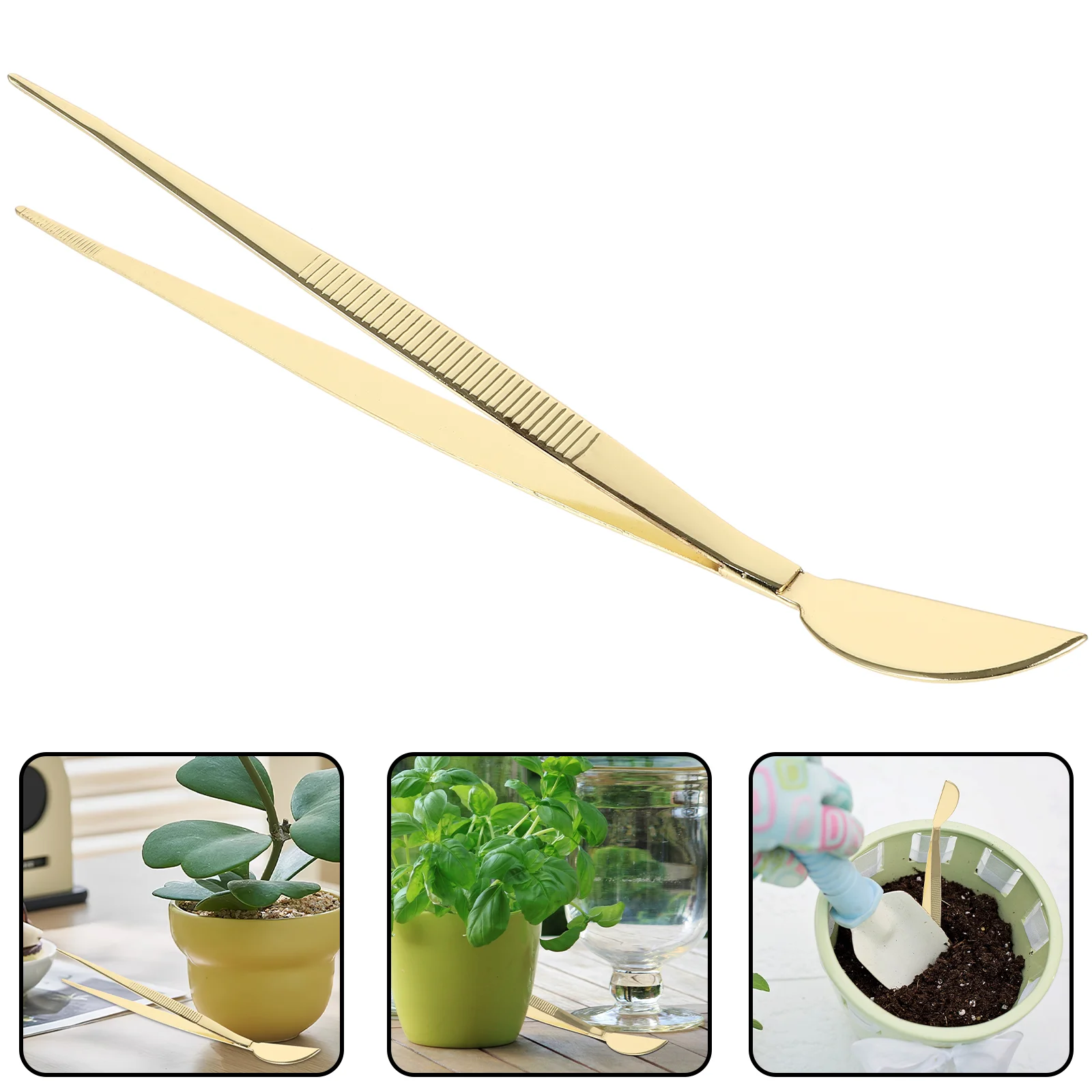 Tweezers Bonsai Garden Scraper Portable Tools Golden Multifunctional Multi-function Planting
Tweezers Bonsai Garden Scraper Portable Tools Golden Multifunctional Multi-function Planting