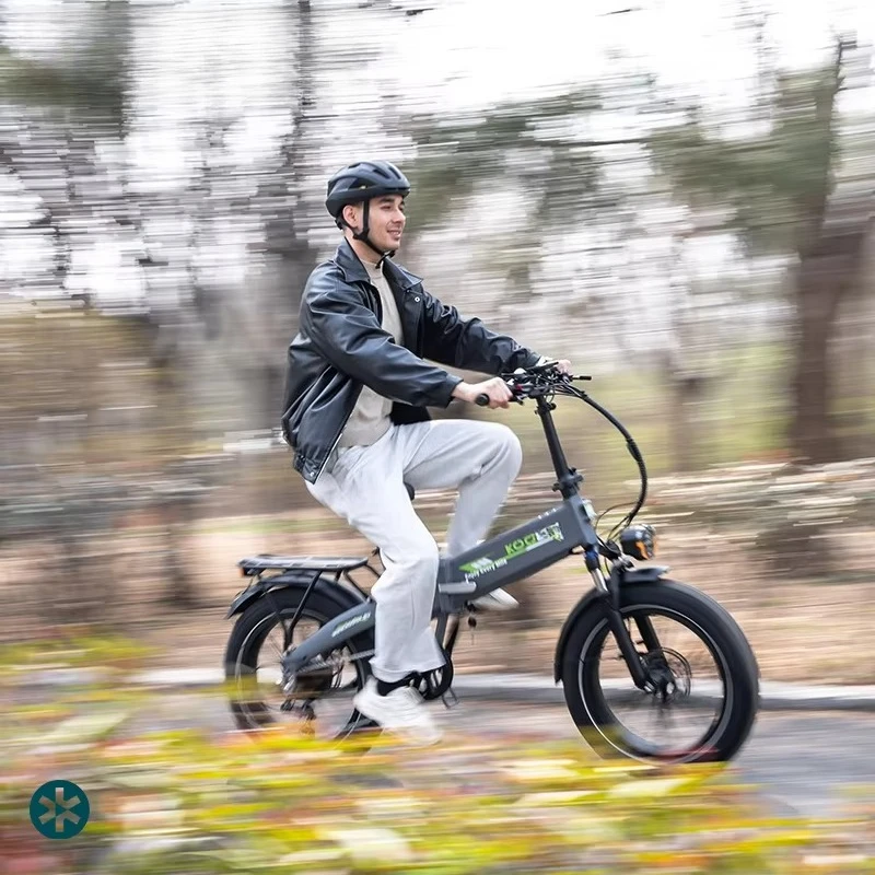 E-Bike 750W 48V 13Ah City Bike Hydraulic Brakes EU Warehouses Fast Delivery
E-Bike 750W 48V 13Ah City Bike Hydraulic Brakes EU Warehouses Fast Delivery