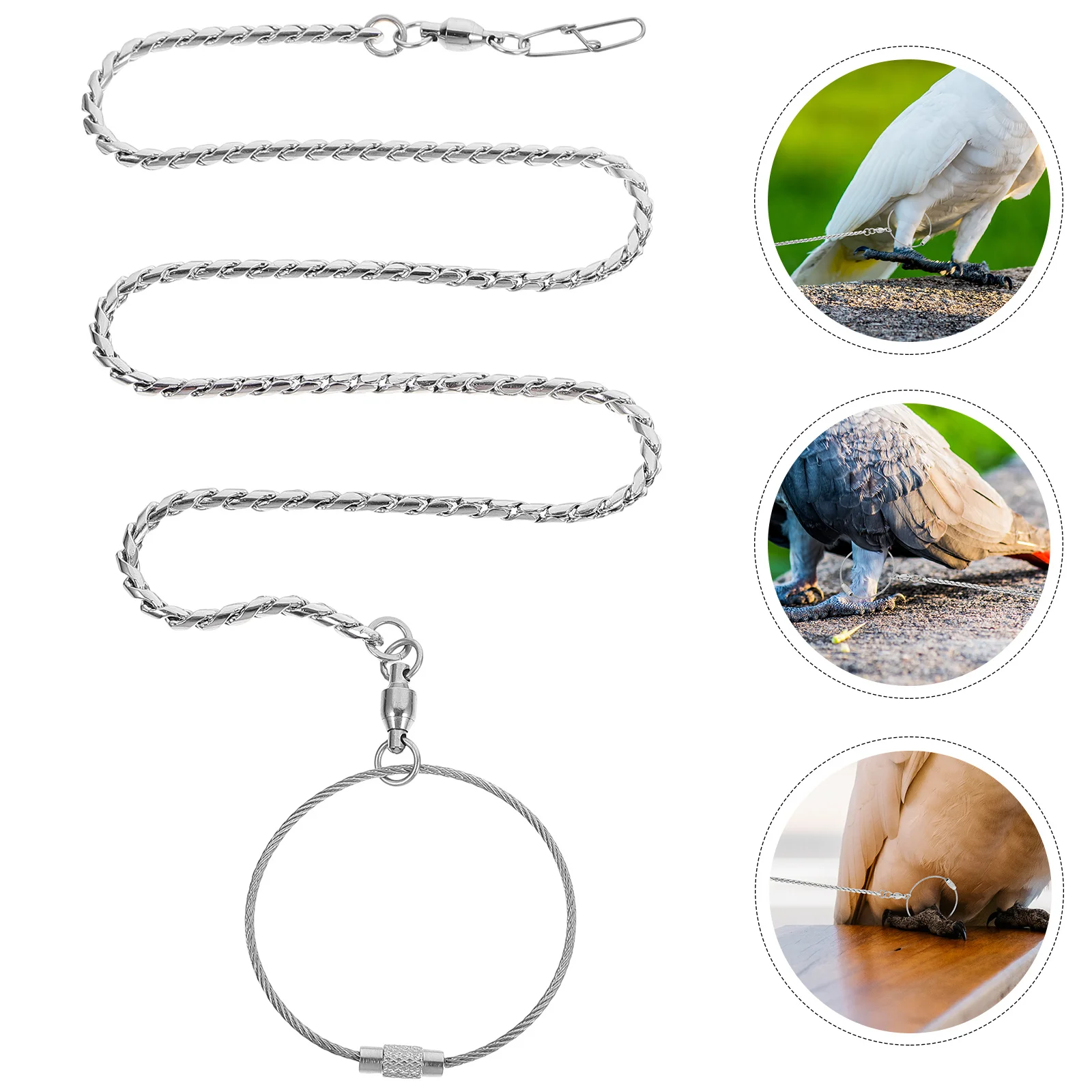 Stainless Steel Birds Foot Chain Thick Durable Anti-Off Anklet Metal Ankle Ring for Cockatiels Lovebird Peony Parrot Anklet
Stainless Steel Birds Foot Chain Thick Durable Anti-Off Anklet Metal Ankle Ring for Cockatiels Lovebird Peony Parrot Anklet