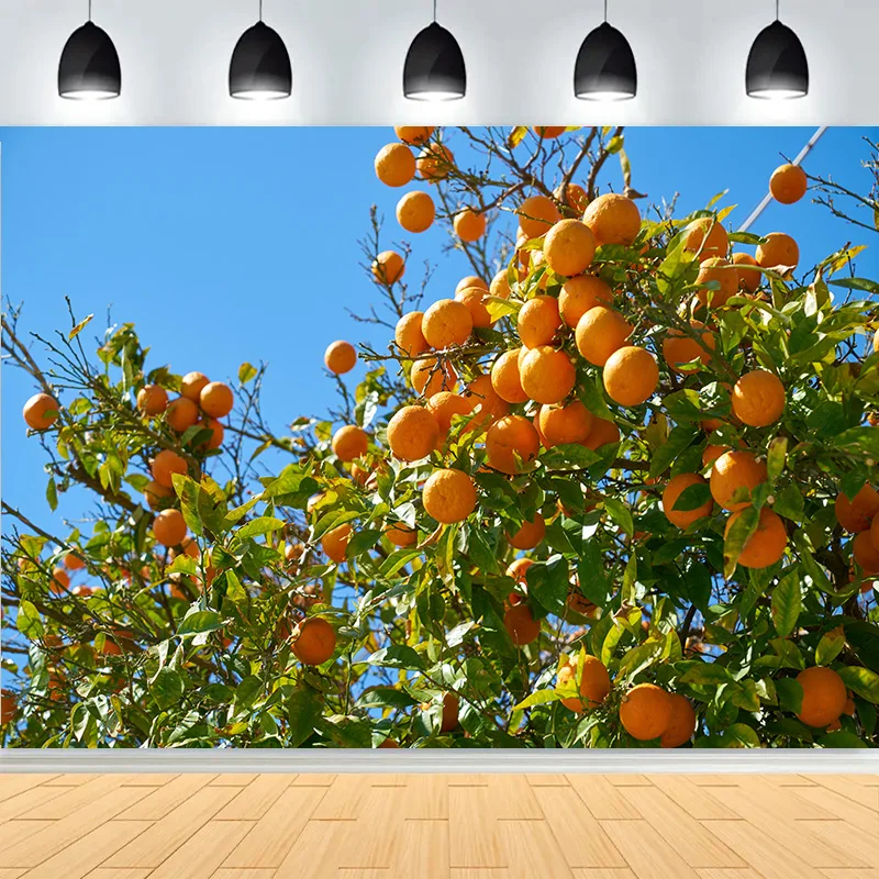Fruit Farm Orange Tree Orchard Harvest Photography Backdrops Garden Natural Grapefruit Party Deco Photo Studio Background CZ-06
Fruit Farm Orange Tree Orchard Harvest Photography Backdrops Garden Natural Grapefruit Party Deco Photo Studio Background CZ-06