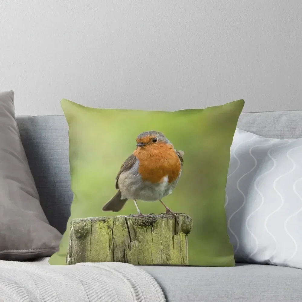 Robins Appear When Loved Ones Are Near Throw Pillow Custom Cushion Photo autumn pillowcase Decorative Cushion New year pillow 
Robins Appear When Loved Ones Are Near Throw Pillow Custom Cushion Photo autumn pillowcase Decorative Cushion New year pillow