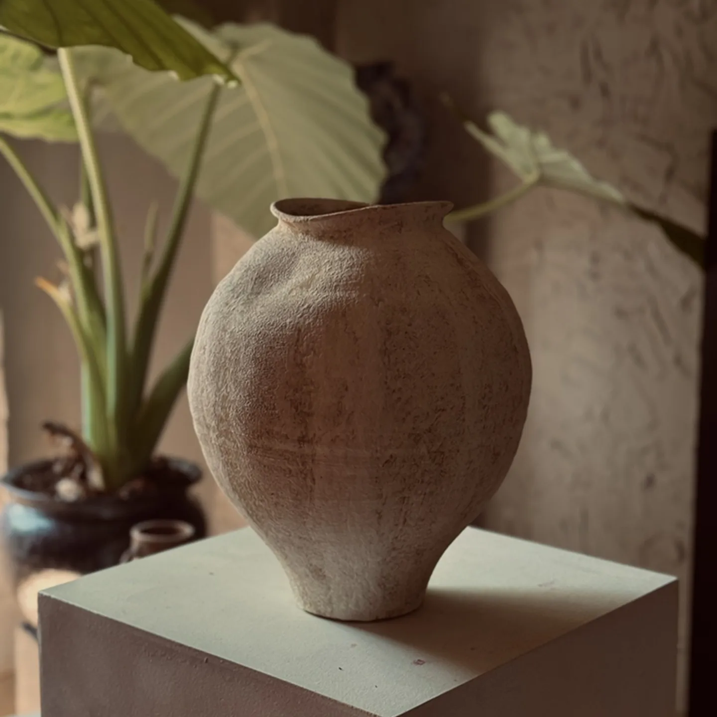 Handmade ceramic ornament splashed glaze white belly vase retro hydroponic turtle back bamboo coarse pottery jar
Handmade ceramic ornament splashed glaze white belly vase retro hydroponic turtle back bamboo coarse pottery jar