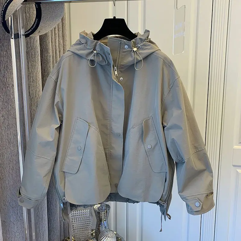 Spring and Autumn New Women's Hooded Windbreaker Jacket Casual Loose Standing Neck Sports Jacket Top
Spring and Autumn New Women's Hooded Windbreaker Jacket Casual Loose Standing Neck Sports Jacket Top