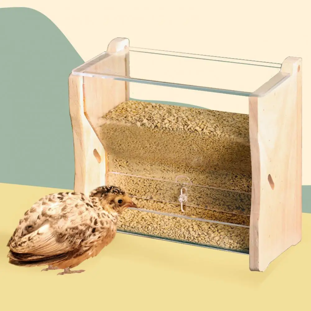 Parrot Food Box Large Capacity Transparent Design Adjustable Acrylic Parrot Automatic Feeder Bird Food Container Pet Supplies
Parrot Food Box Large Capacity Transparent Design Adjustable Acrylic Parrot Automatic Feeder Bird Food Container Pet Supplies
