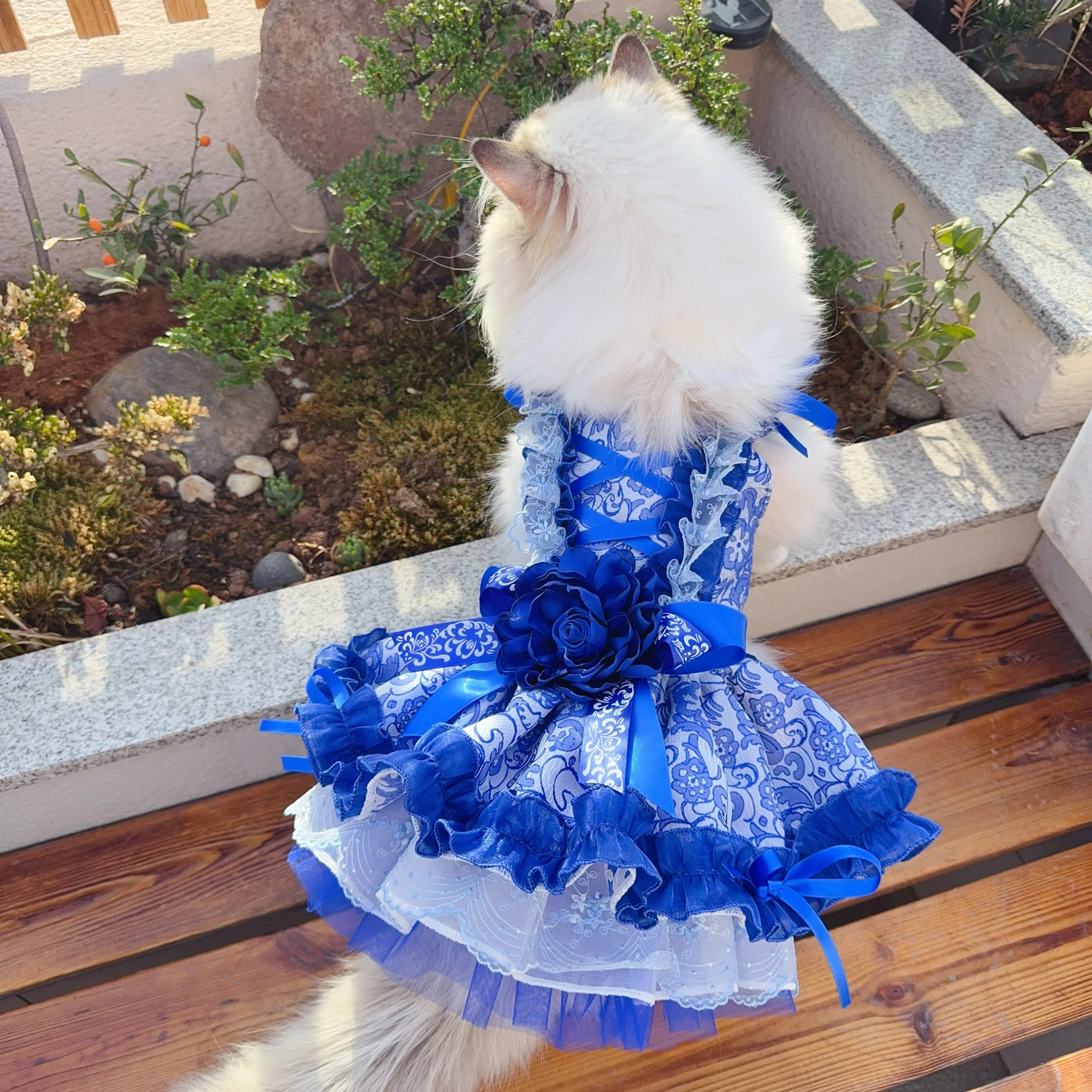 Handmade Pet Dog Clothes Fashion Blue White Porcelain Print Luxury Princess Dress For Small Medium Dog Chihuahua Puppy Clothing
Handmade Pet Dog Clothes Fashion Blue White Porcelain Print Luxury Princess Dress For Small Medium Dog Chihuahua Puppy Clothing