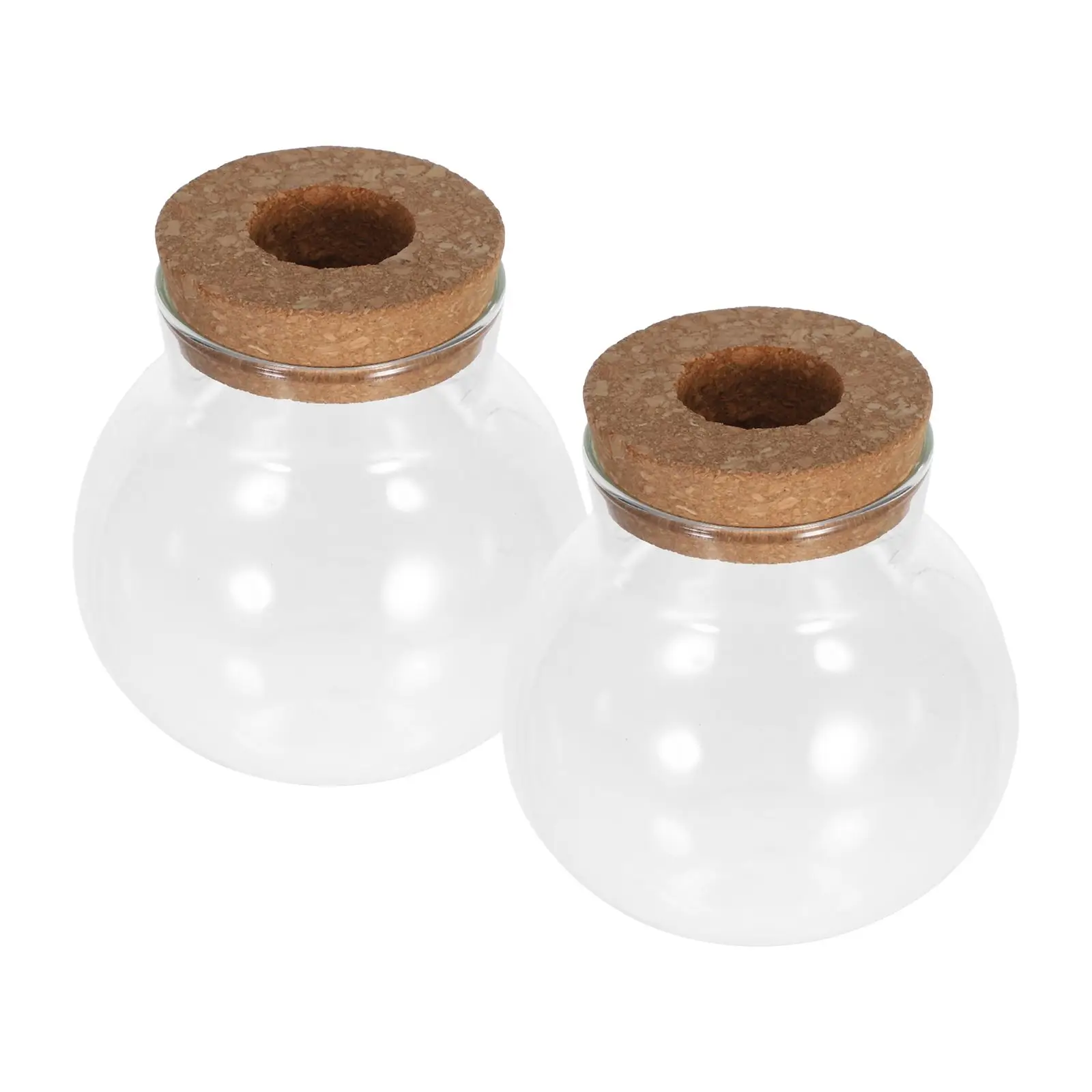 2 Pcs Vases Hydroponic Plant Bottle Glass Terrarium Pots for Plants with Lid Propagation Jars Planter Transparent Office
2 Pcs Vases Hydroponic Plant Bottle Glass Terrarium Pots for Plants with Lid Propagation Jars Planter Transparent Office