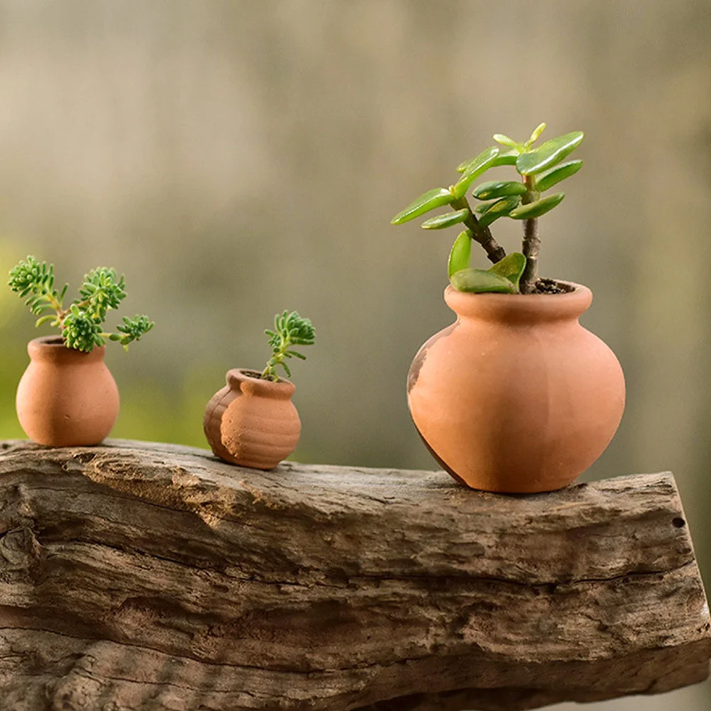6 Pcs Miniature Succulent Flower Pot Plants Flowerpot Light Brown Clay Planting Holder
6 Pcs Miniature Succulent Flower Pot Plants Flowerpot Light Brown Clay Planting Holder