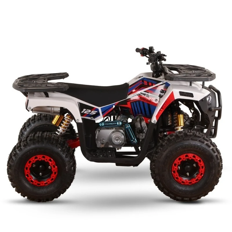 All-terrain Four-wheel Beach Buggy ATV for Adults 110cc 125cc Quad Bikes Cuatrimoto
All-terrain Four-wheel Beach Buggy ATV for Adults 110cc 125cc Quad Bikes Cuatrimoto