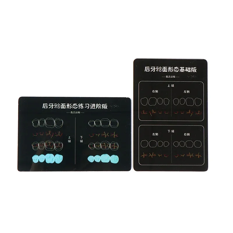 1pc Dental Composite Resin Filling Practise Template Teeth Morphology Board Anatomical Model Study Board
1pc Dental Composite Resin Filling Practise Template Teeth Morphology Board Anatomical Model Study Board